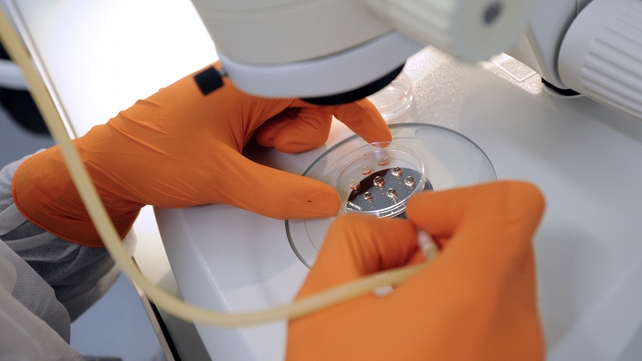 The Nobel Assembly said the researchers revealed the 'exquisitely' precise control system for cell transportation The Nobel Assembly said the researchers revealed the 'exquisitely' precise control system for cell transportation