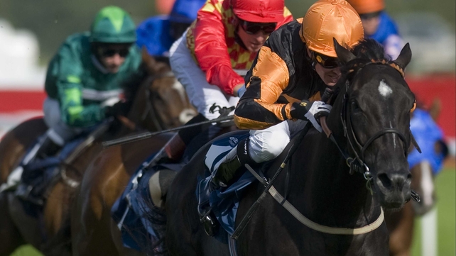 Sirius Prospect could make a big impression at the Champions Sprint Stakes