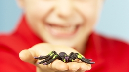 Bug Hunters