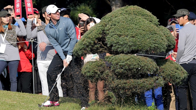 Rory McIlroy needed a tree iron to get past this obstruction in Korea