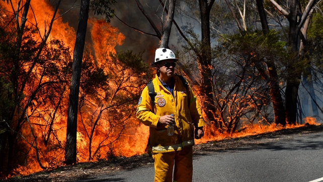 More than 2,000 fire fighters are involved in the operation