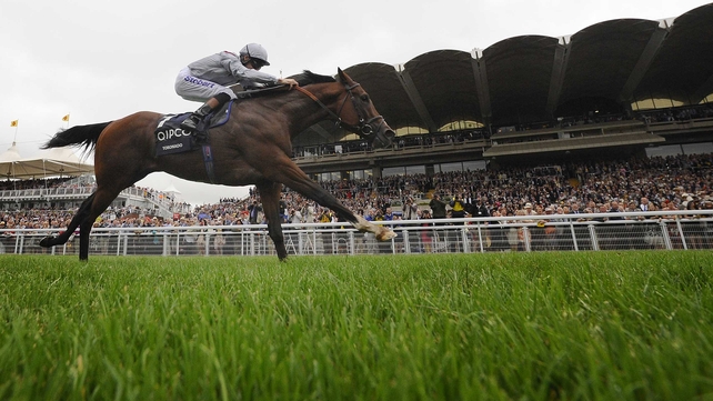 Toronado winning the Sussex Stakes earlier this season