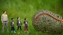 Bug Hunters