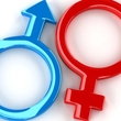 Gender Conflicts