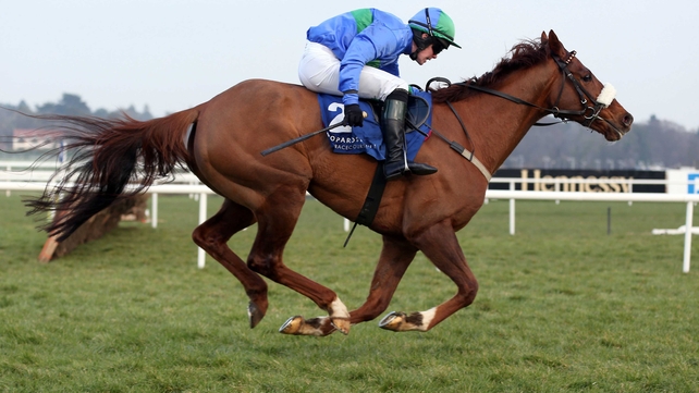 Shane Butler and He'llberemembered got the better of the hotly-fancied Drive Time