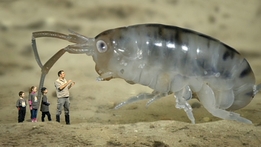 Bug Hunters