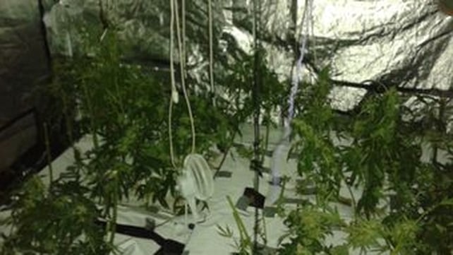 Garda photo from inside house in Drogheda where cannabis cultivation operation discovered Garda photo from inside house in Drogheda where cannabis cultivation operation discovered