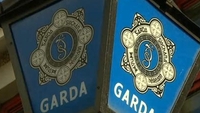 Pedestrian killed in Co Tipperary road crash Pedestrian killed in Co Tipperary road crash