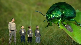 Bug Hunters