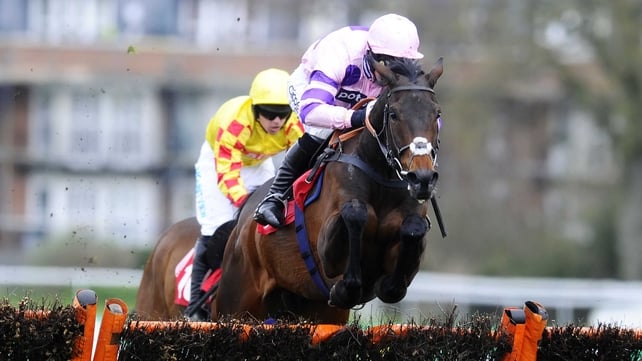 The progressive Ptit Zig should relish conditions at Haydock on Saturday