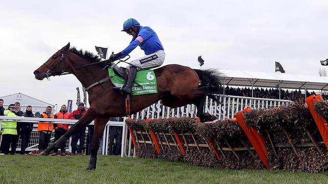 Hurricane Fly has claimed 17 Grade One victories