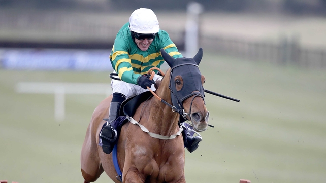 Defy Logic will get a chance to stretch his legs at Punchestown
