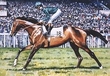 Shergar