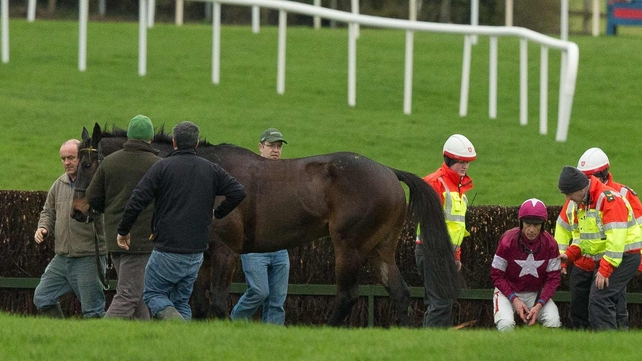 Sir Des Champs was a faller under Davy Russell