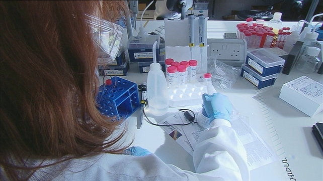 A report found many girls do not pick science subjects as they regard them as more suitable for boys A report found many girls do not pick science subjects as they regard them as more suitable for boys
