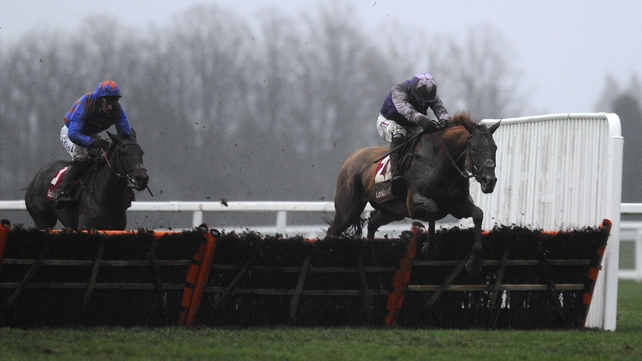 Willow's Saviour is unbeaten in three starts for Dan Skelton