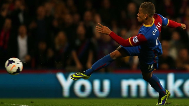 Dwight Gayle struck the winner for Palace