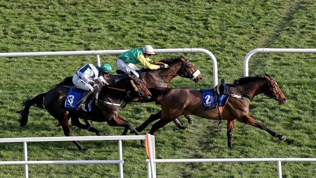Wrong Turn wins the Martinstown Opportunity Handicap Chase