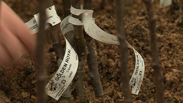 Collections include around 800 heirloom vegetable varieties Collections include around 800 heirloom vegetable varieties