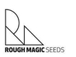 Rough Magic Theatre Company
