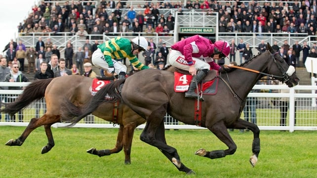Don Cossack getting the better of Carlingford Lough at Fairyhouse