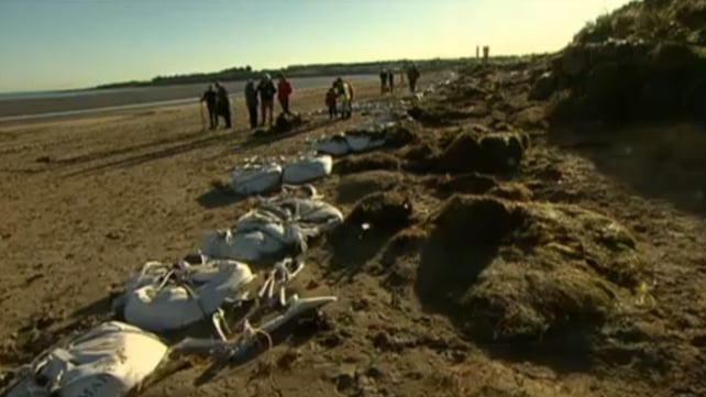 Portrane beach is one of those affected Portrane beach is one of those affected