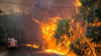 Wildfires in Australia Wildfires in Australia
