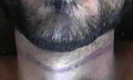 Evidence of "industrial scale" killing in Syria