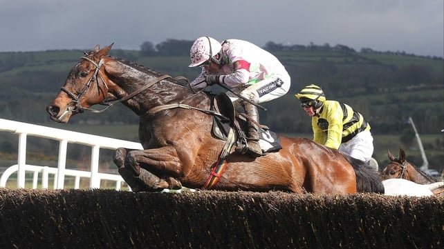 Vesper Bell in action at Punchestown
