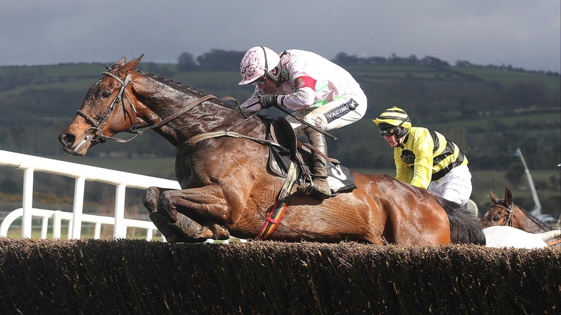 Vesper Bell in action at Punchestown