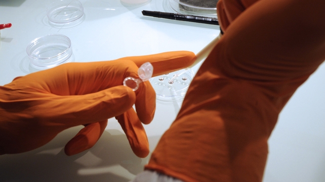 Cells can be reprogrammed into an embryonic-like state by altering their environment Cells can be reprogrammed into an embryonic-like state by altering their environment