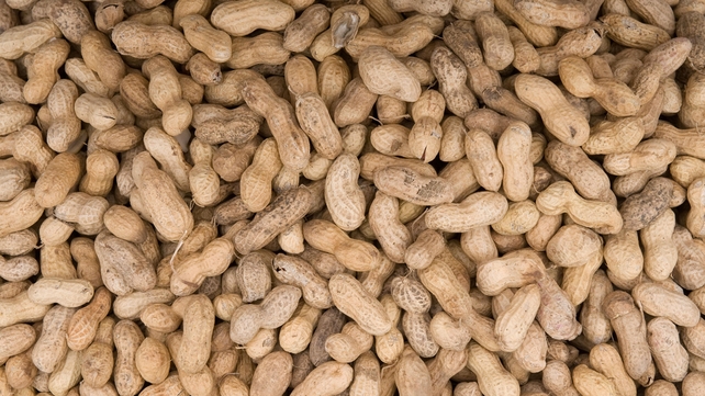 Doctors have said they could treat peanut allergies by feeding children the very thing their bodies reject Doctors have said they could treat peanut allergies by feeding children the very thing their bodies reject