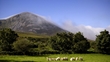 Peadar Ó Cualáin, Pádraic Ó Céidigh; Gearóid Ó Murchú & Paula Ní Loideáin.
