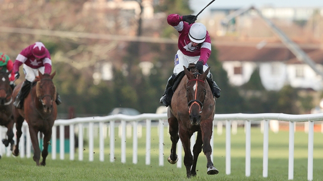 Jockey Brian O'Connell described Last Instalment as "exceptional"