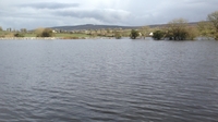 Morning Ireland: Wall saves 130 homes but floods farmers land Morning Ireland: Wall saves 130 homes but floods farmers land