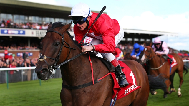 Johnny Murtagh announced his retirement as a jockey on Tuesday