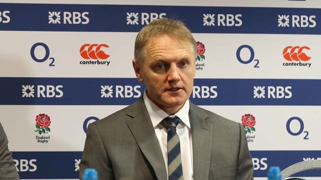 Joe Schmidt said he felt sorry for the Irish players, who, he said, had put in a lot of effort