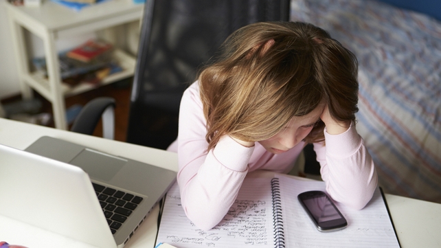 16% of students said they had experienced cyberbullying 16% of students said they had experienced cyberbullying