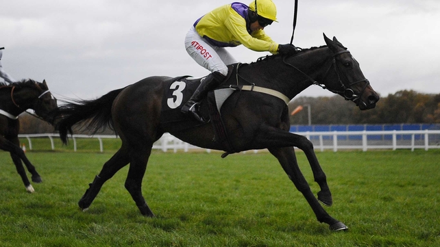 Carole's Spirit will go in a novice hurdle at Fairyhouse