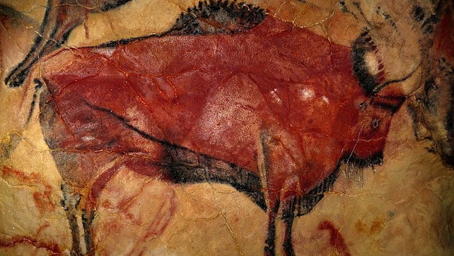 A Bison seen the great hall of policromes A Bison seen the great hall of policromes