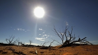 Warning of increase in life-threatening heatwaves Warning of increase in life-threatening heatwaves