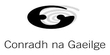 Mícheál Ó Leidhin, Tuairisceoir RnaG
