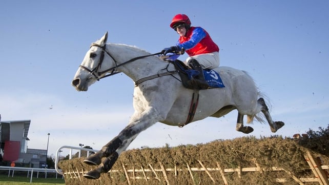 Thousand Stars runs in the Ballsbridge Hurdle