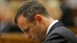 Pistorius Case