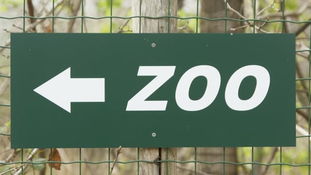 The zoo urged local residents to visit or donate funds The zoo urged local residents to visit or donate funds