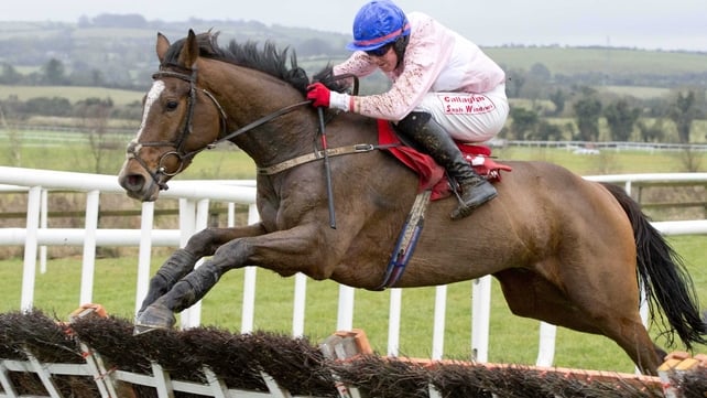 Racing at Naas gets under way at 2.30pm