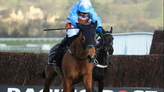 Western Warhorse