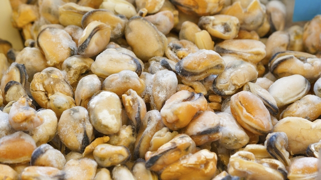 The affected batch of mussels has been withdrawn from sale The affected batch of mussels has been withdrawn from sale
