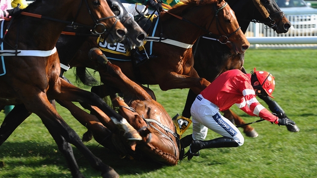 Ruby Walsh suffered injuries falling from Abbyssial at Cheltenham Festival