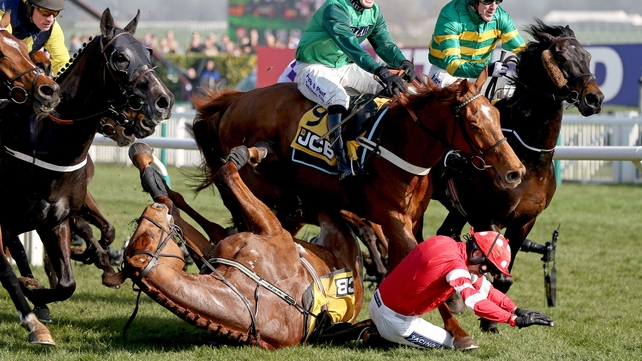 Ruby Walsh suffered a heavy fall at Cheltenham that resulted in a fractured arm